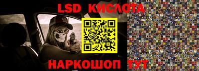 бошки Кингисепп