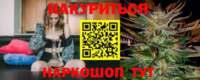 бошки Кингисепп