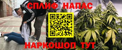PSILOCYBIN Кимры