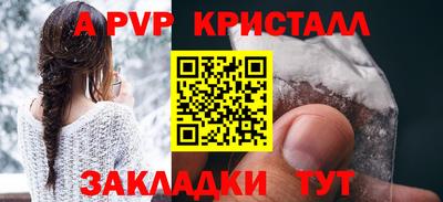 бошки Кингисепп