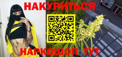 бошки Кингисепп