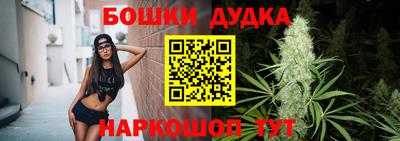 бошки Кингисепп