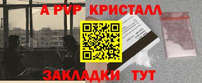 бошки Кингисепп