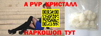 бошки Кингисепп