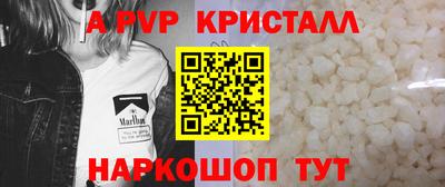 бошки Кингисепп
