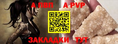 бошки Кингисепп